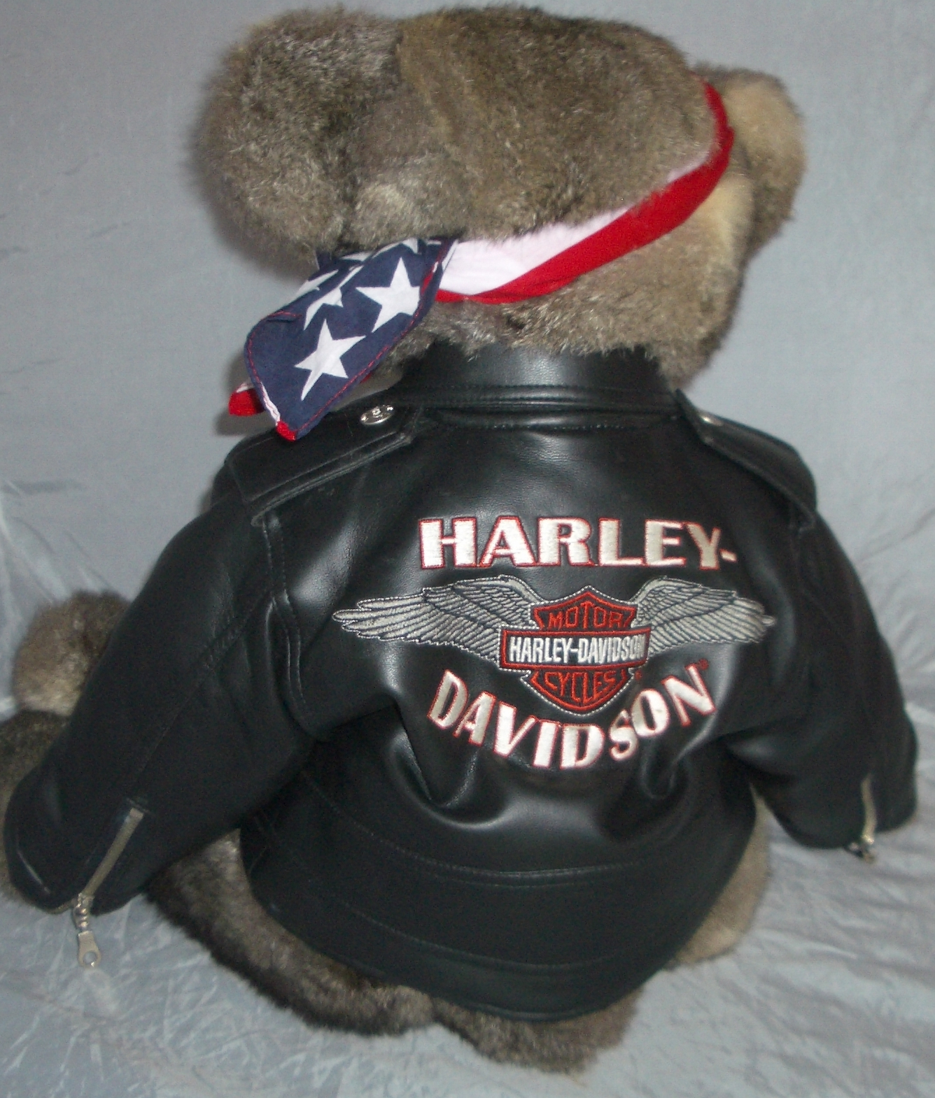 harley davidson teddy
