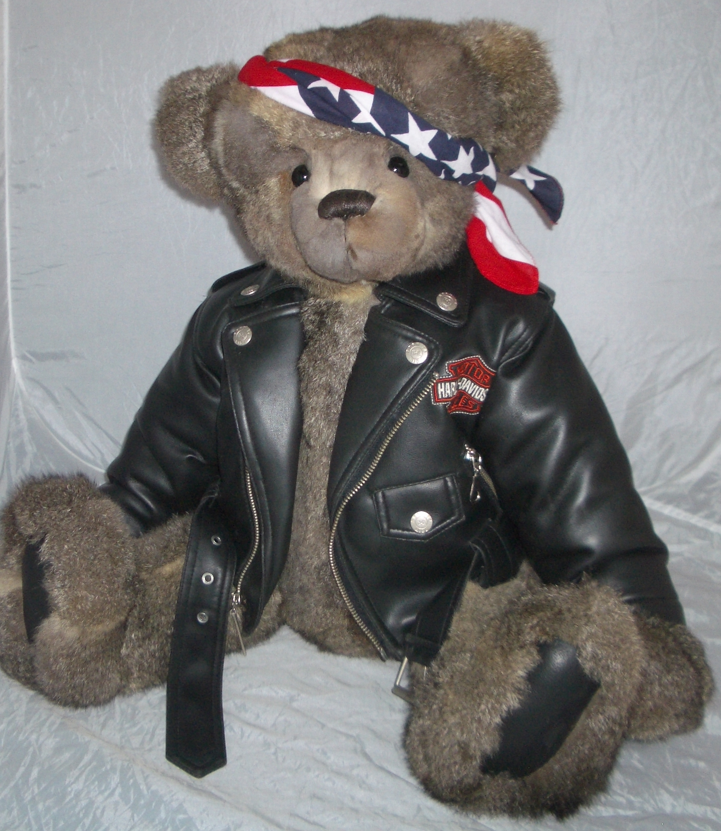 harley davidson teddy